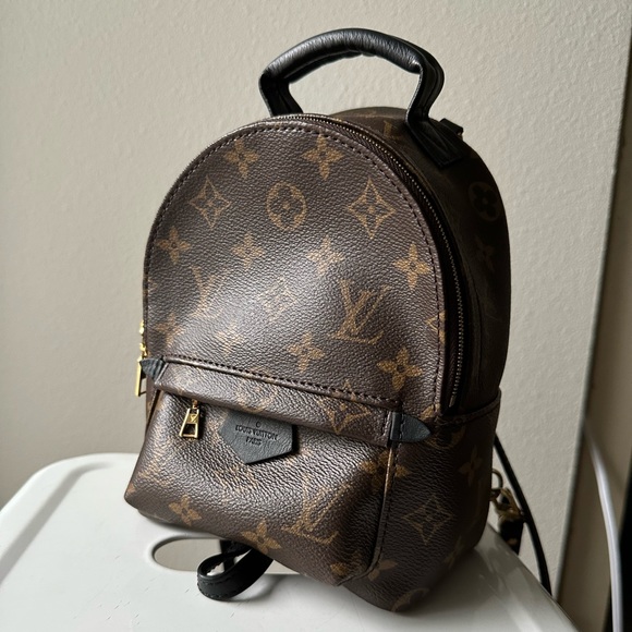LOUIS VUITTON PALM SPRINGS MINI - Picture 1 of 6